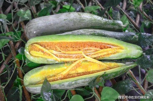 盘锦网红吃瓜事件,一场网络狂欢背后的真相揭秘